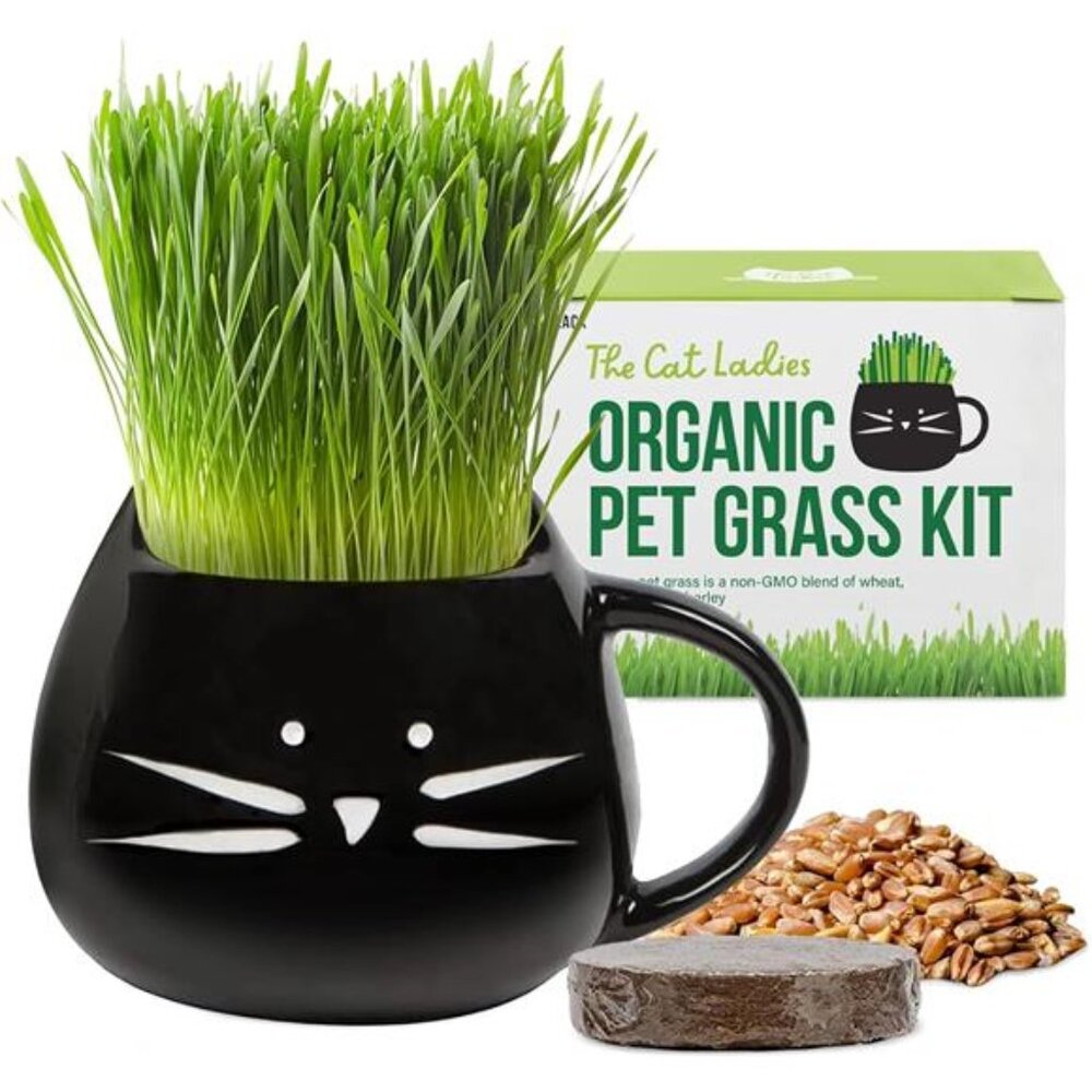 The Cat Ladies Organic Cat Grass for Indoor Cats - Growing Kit with Organic Seed